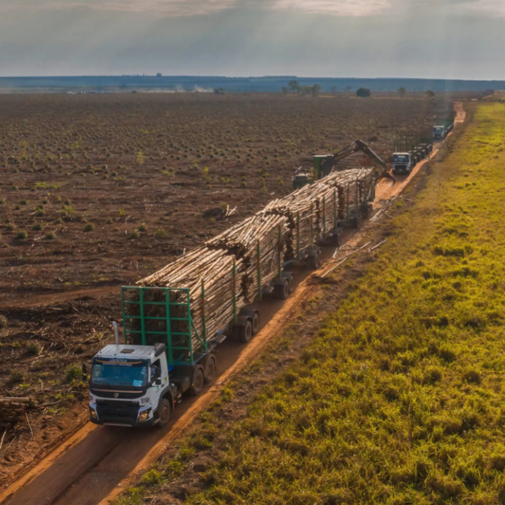 Governo investe R$ 26,8 milhões para modernizar rodovia entre Três Lagoas e Inocência