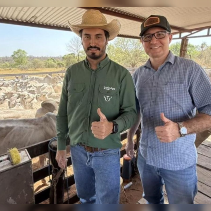 “Enquanto Três Lagoas enfrenta caos, prefeito Cassiano Maia exibe gado e ostenta vida no campo”