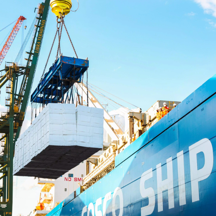 Arauco investe R$ 770 milhões em vagões para escoar celulose em MS