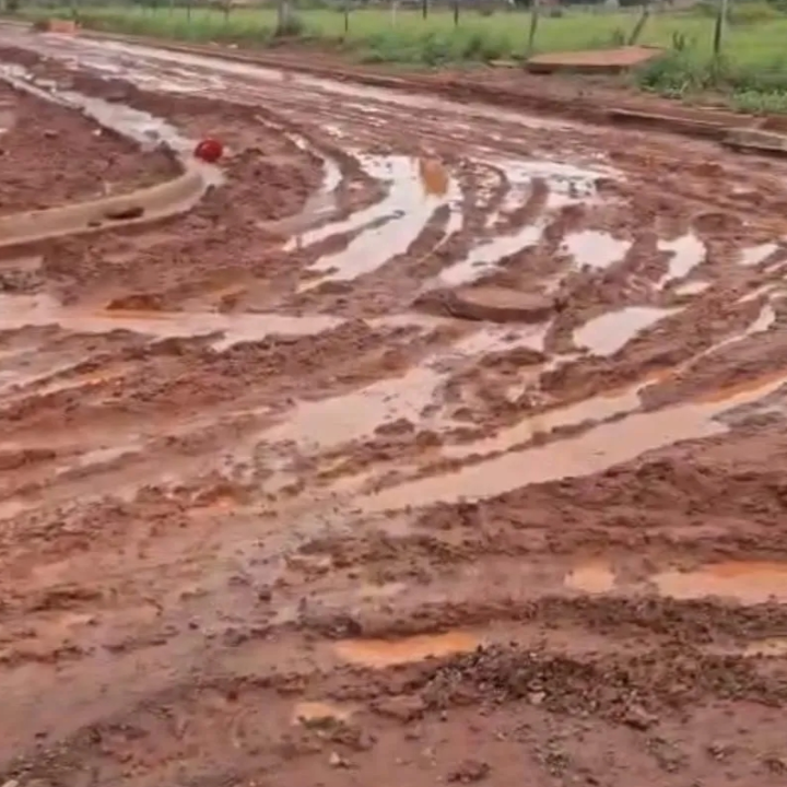 Moradores do Jardim das Primaveras vivem lama enquanto prefeitura promete 100% de asfalto