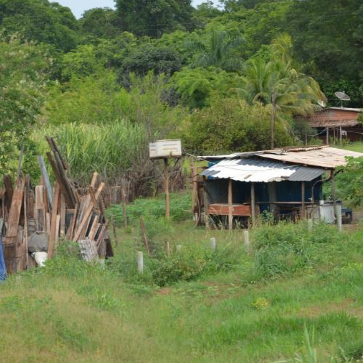 Cinturão Verde de Três Lagoas: suspeitas de irregularidades em concessões acendem alerta