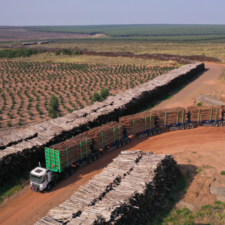 Curso gratuito vai qualificar 200 motoristas para atuação em fábrica de celulose em Inocência