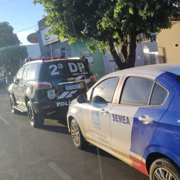Mulher é presa após morte de cachorro em Três Lagoas